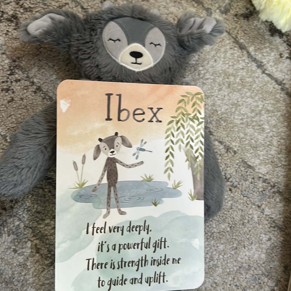 Ibex with inspiration car , new without tags and with inspiration card